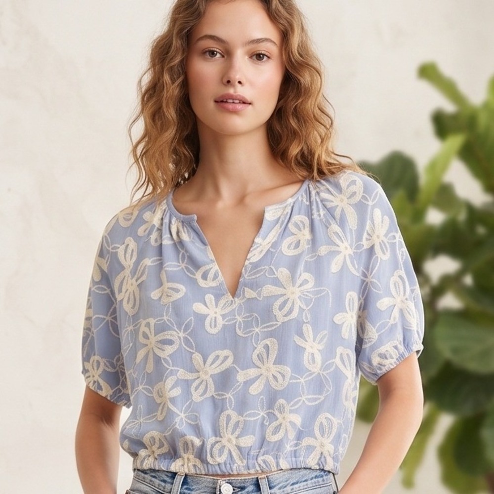 Joie Embroidered Crop Top Womens Small Blue New Floral‎ Puff Sleeve V-Neck Boho